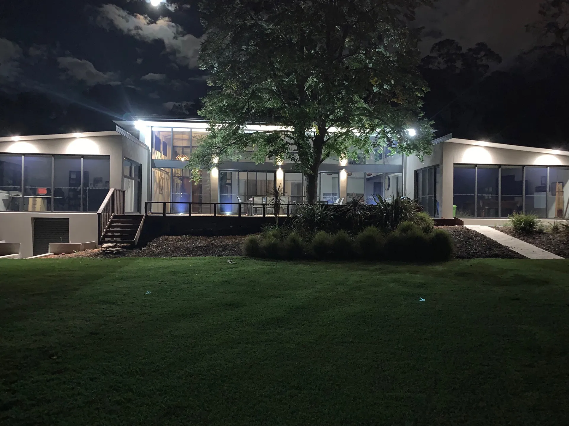 Modern illuminated building with large windows and a tree in front under a moonlit sky at night.