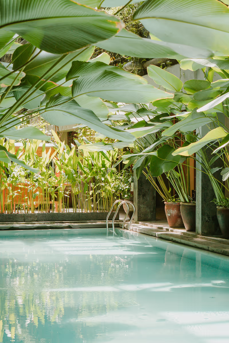 Outdoor swimming pool surrounded by large green tropical plants and potted plants near a stone deck.
