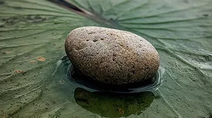 A smooth grey stone resting on a dark, wet surface with subtle water droplets.