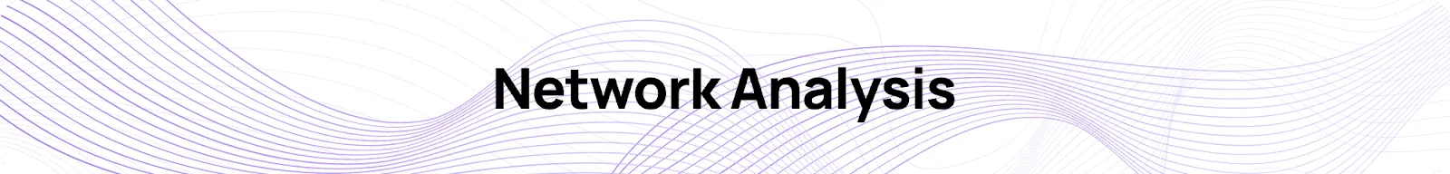 Polygon Network Analysis