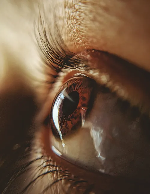 Our Contact Lens Plan