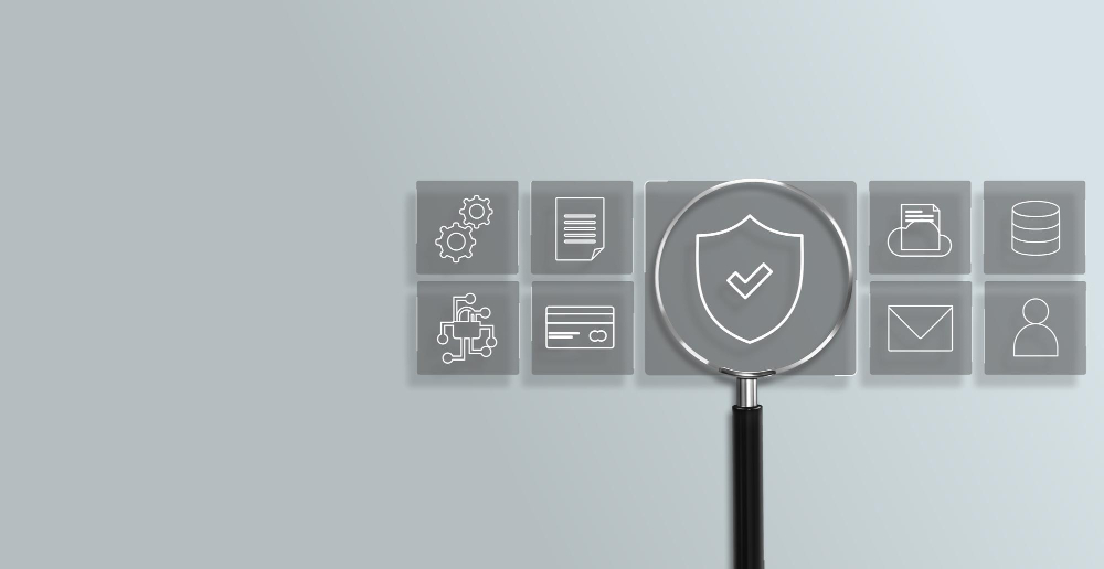 Embedded finance proposition for sponsor banks and program readiness