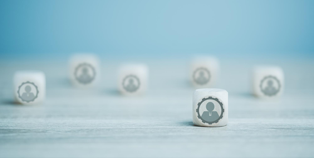 System levers to improve workforce throughput in government