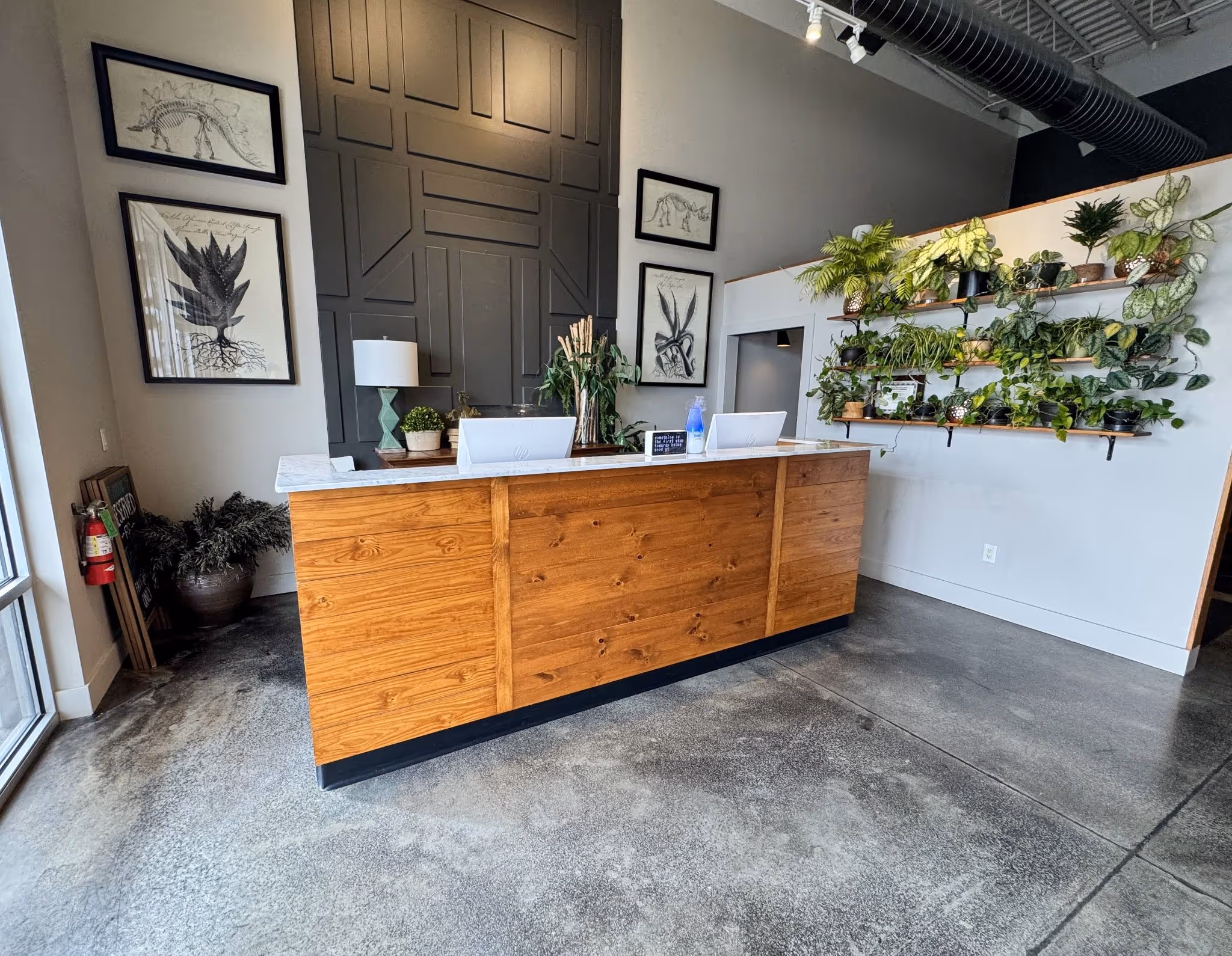 Modern reception area at Elite Wellness Center featuring a wooden front desk, lush indoor plants, contemporary wall art, and a bright, welcoming atmosphere.