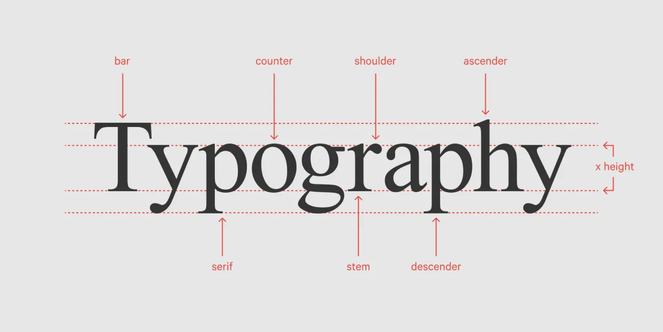 Typography