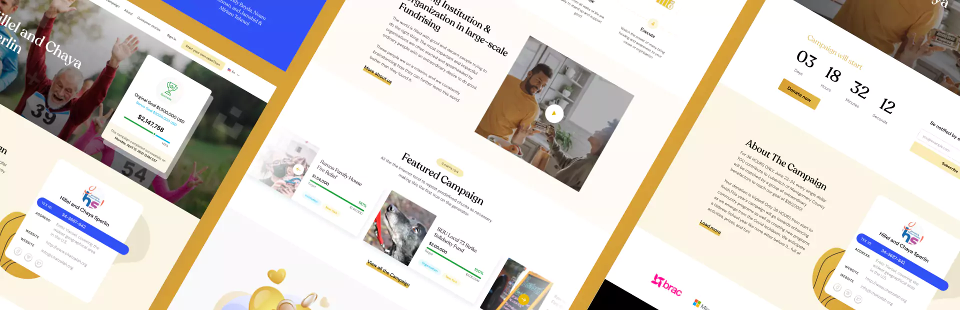 raisethon saas ux case study