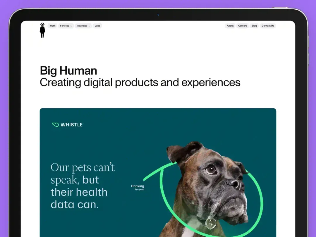 Big Human agency website showcasing digital branding, UX design, and logo creation services