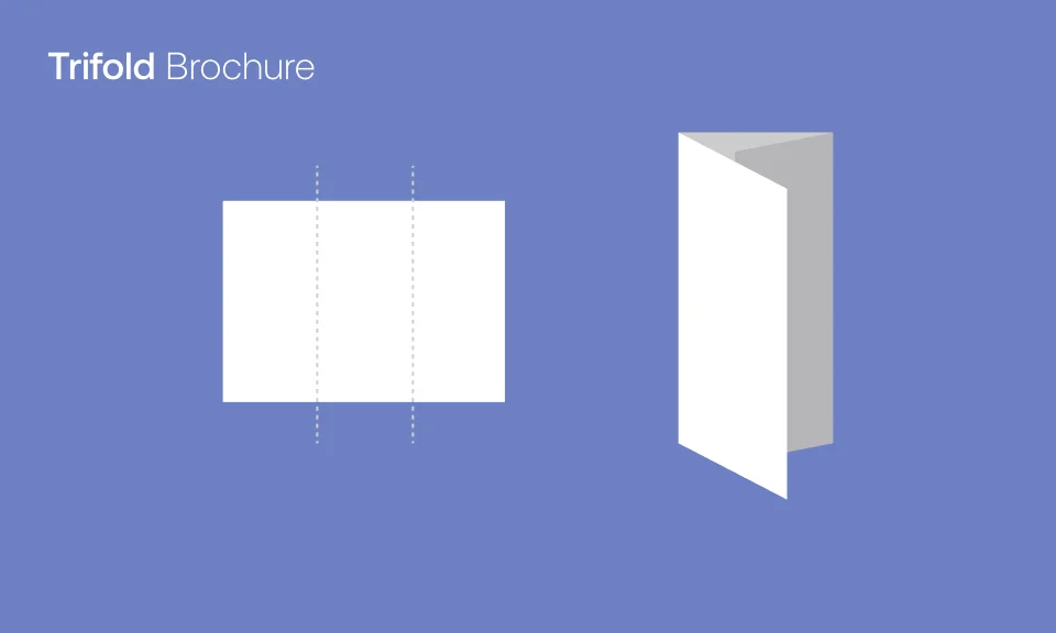 Trifold Brochure