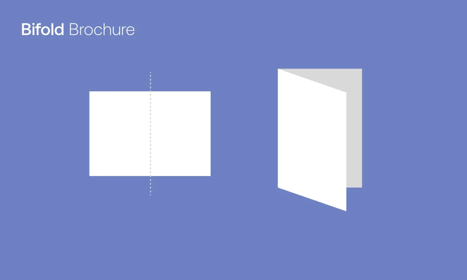 Bifold Brochure