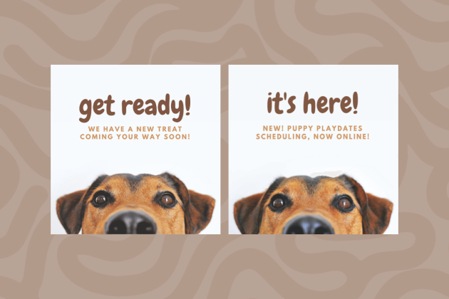 social media launch announcement examples