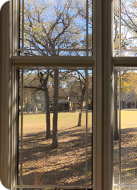 View through a window showing trees with bare branches and a grassy lawn under a clear blue sky.