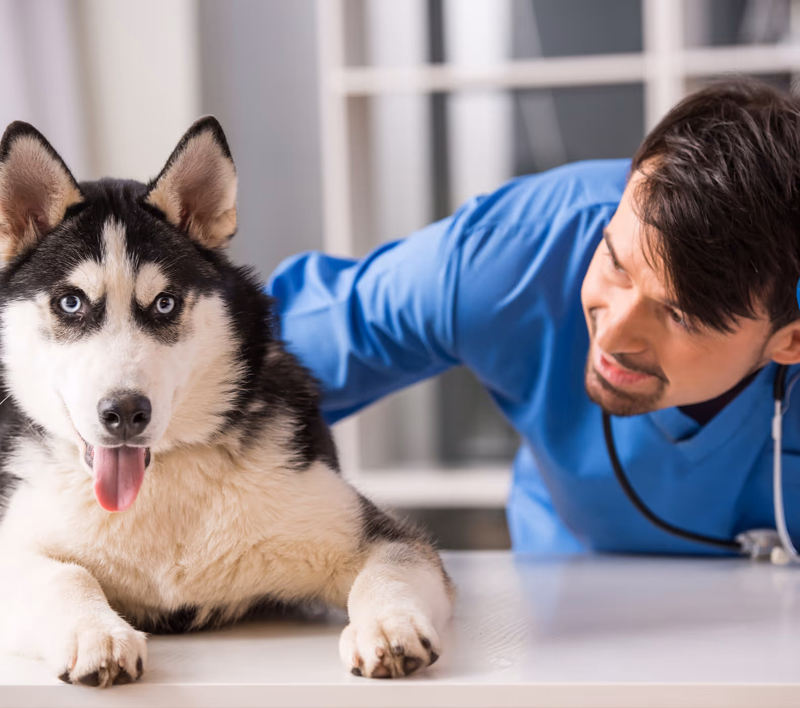 How Regular Health Checks Save Rescue Lives