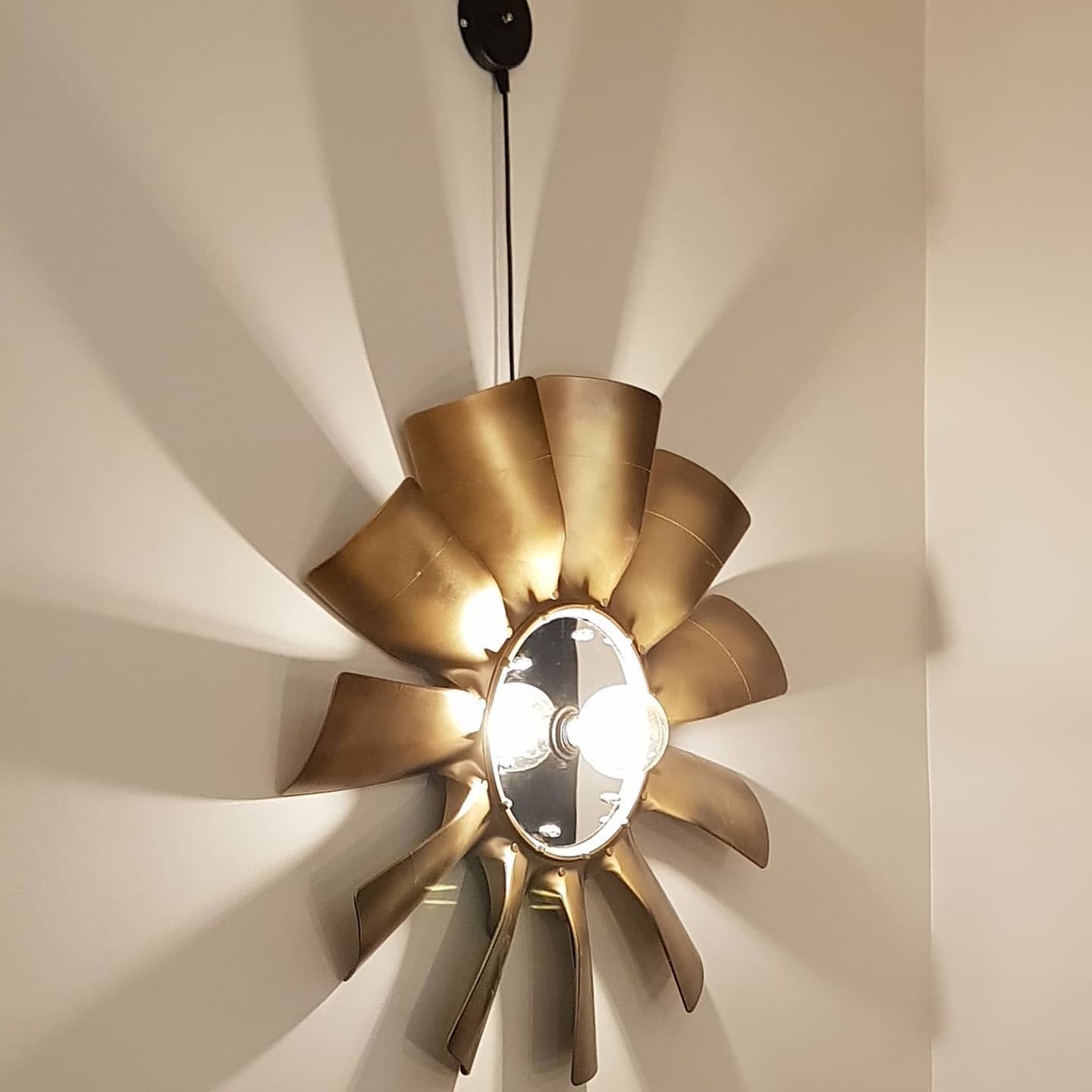 Masculine Bloom Fitting casting gorgeous shadows on the wall