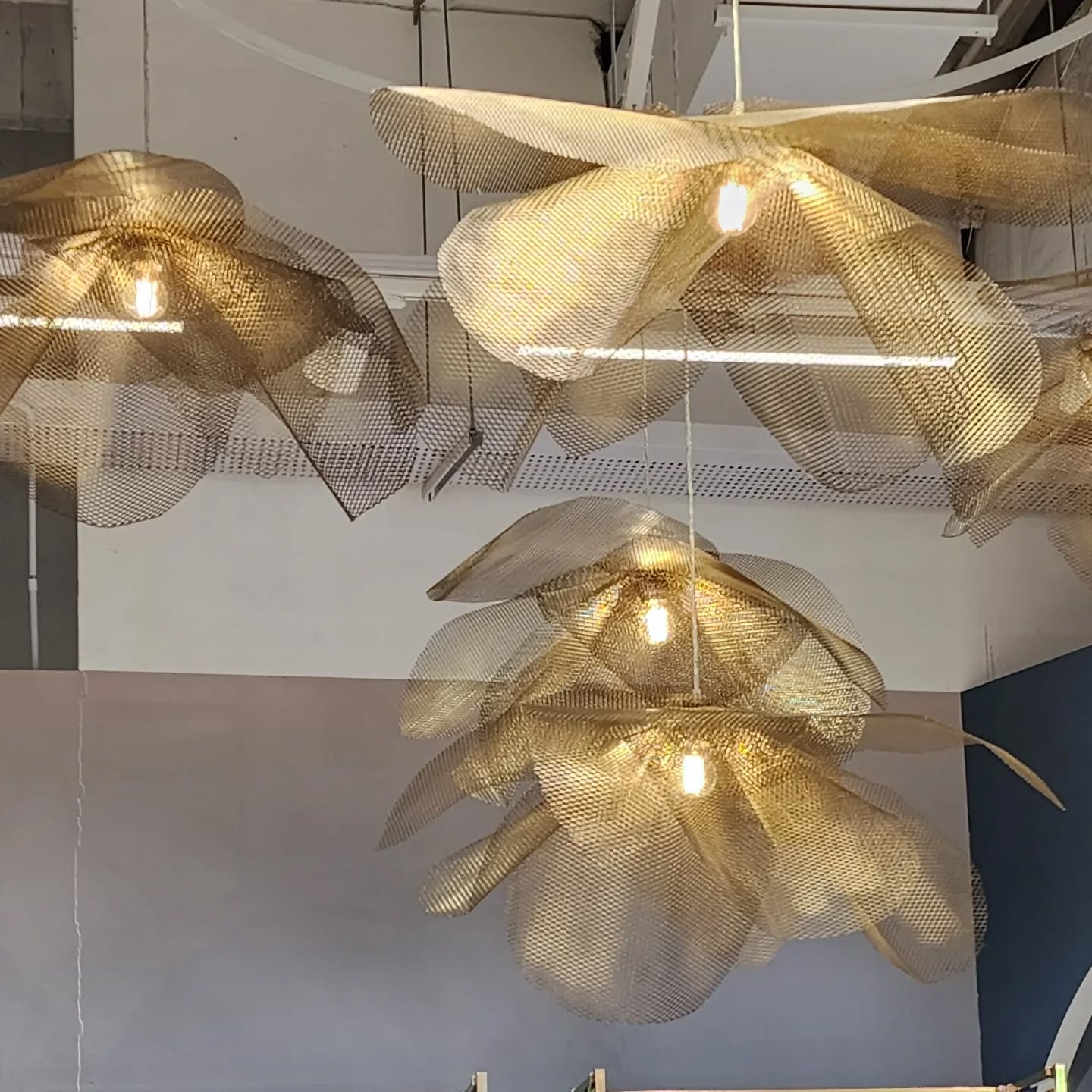 Mesh layered Brass and Gold Petal light fittings in an Interior Design Office