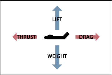 Straight and Level Flight Aerodynamics