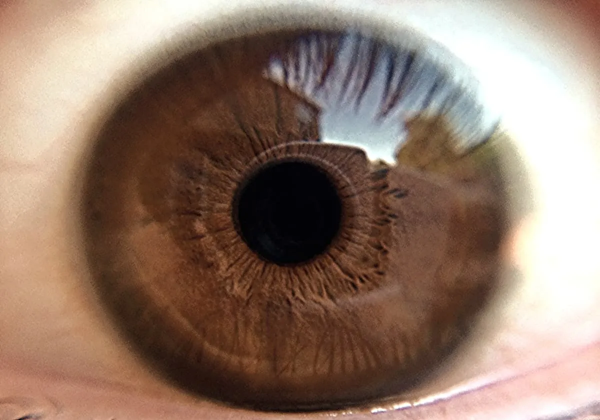 Close up of an eye