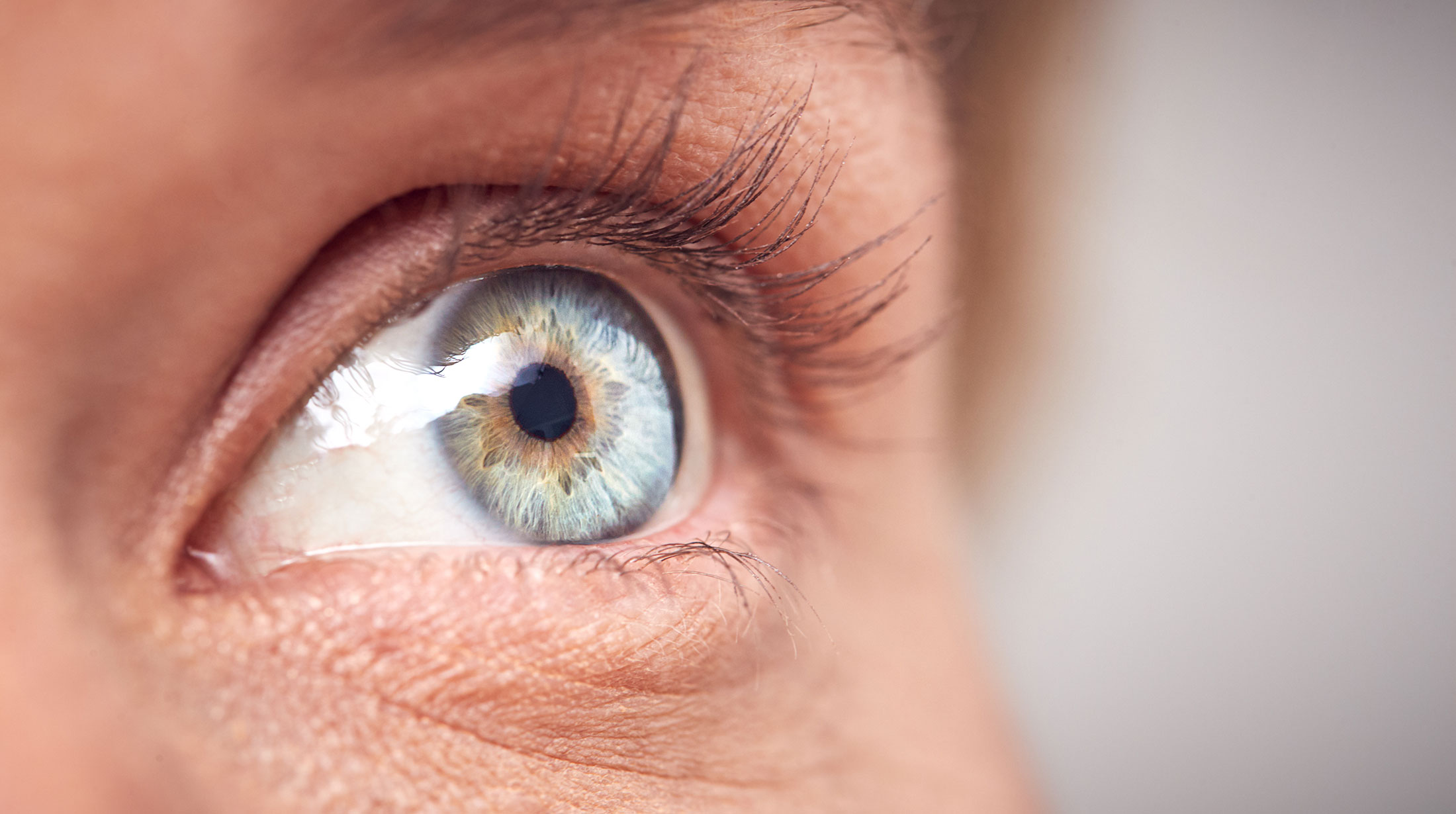 Extreme close-up of a blue eye with detailed iris and long eyelashes.