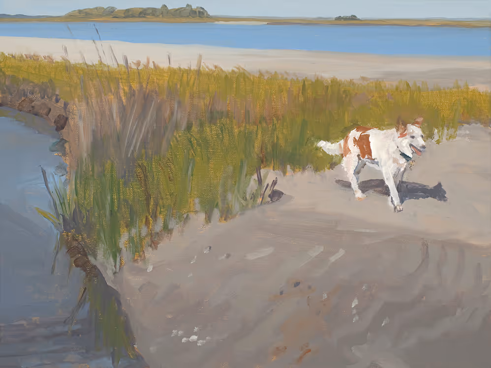 White and brown dog walking on a sandy path beside tall grass and a body of water with islands in distance.