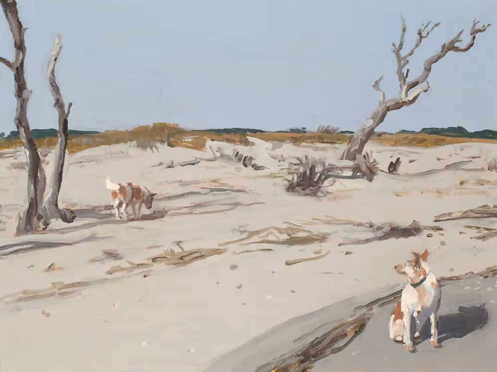 Two dogs and several leafless, twisted trees under a clear sky.
