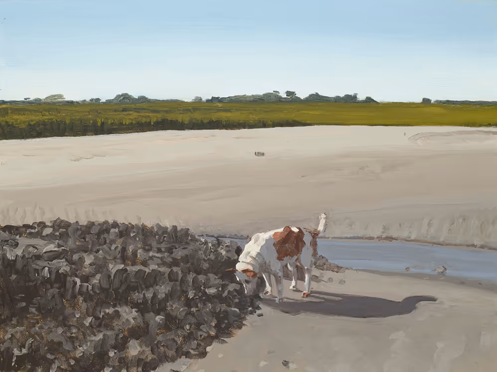 Brown and white dog sniffing rocks near a water puddle on a sandy, open landscape under a clear sky.
