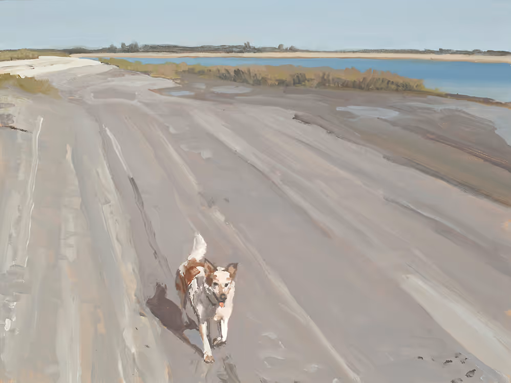 Dog running on a wide sandy beach near calm blue water under a clear sky.