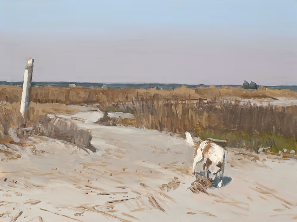 A dog sniffing on a sandy path near dried grass under a clear blue sky.