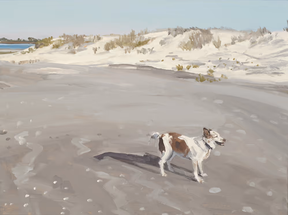 Small white and brown dog standing on sandy beach dunes under clear sky.