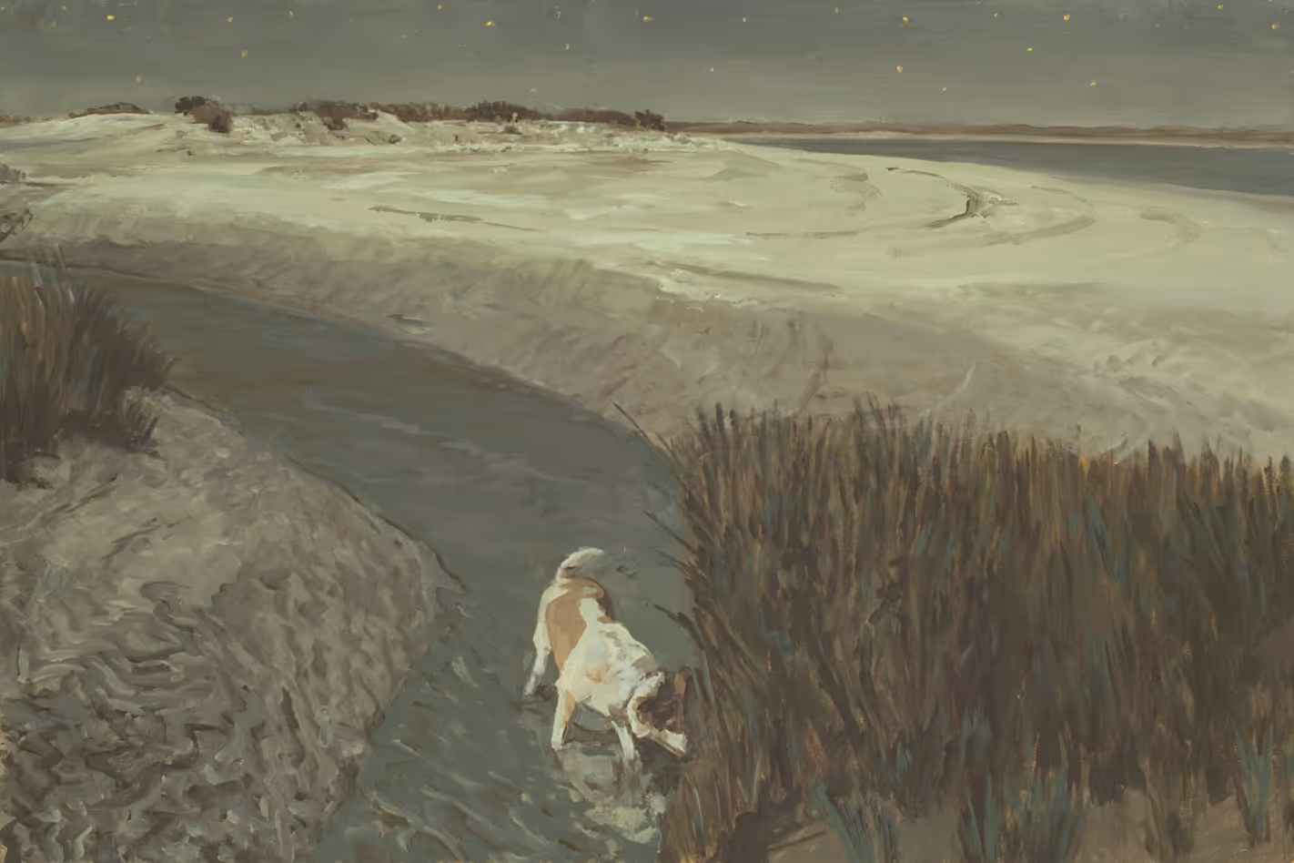 Dog drinking from a narrow stream in a barren landscape under a starry sky.