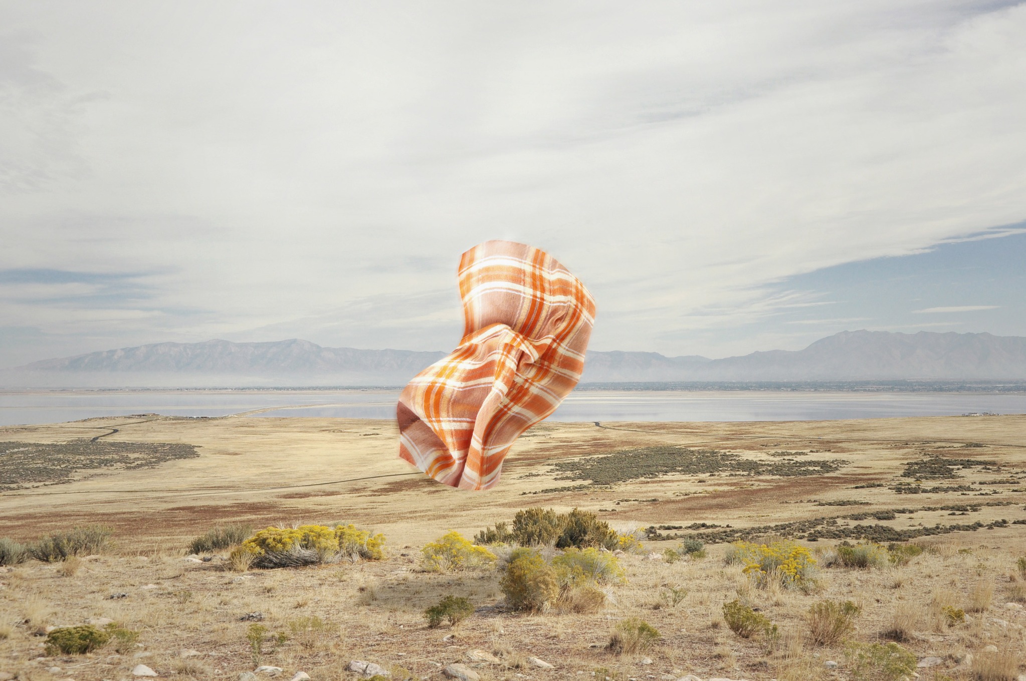 Shell resting on a dry lake bed under a pale sky