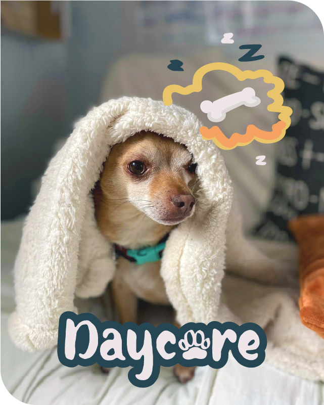 Small dog covered in a fluffy beige blanket with a dream bubble showing a bone and zzz's.
