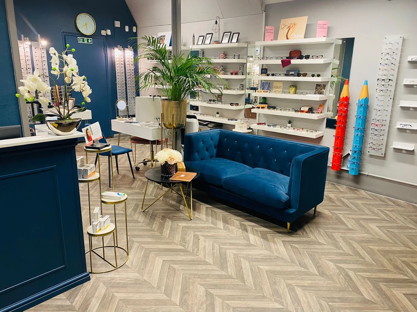 Modern eyewear store interior with blue sofa, white shelving displaying glasses, and decorative plants.