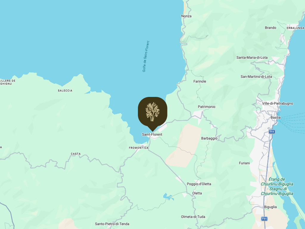 Hôtel & Résidence San Roccu - Hôtel situé à Saint-Florent en Haute-Corse