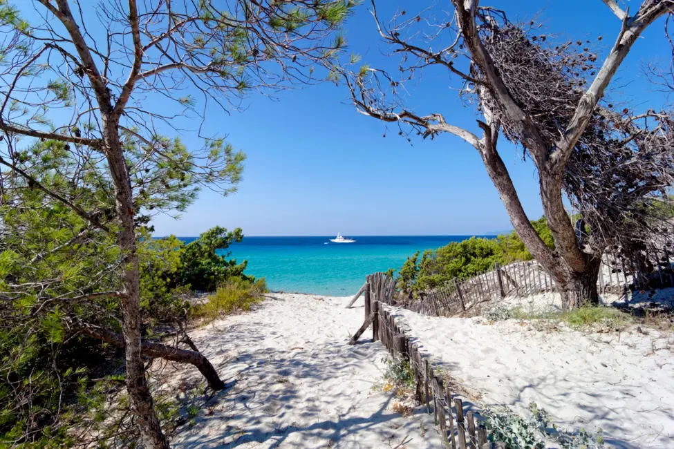 Cap Corse 4
