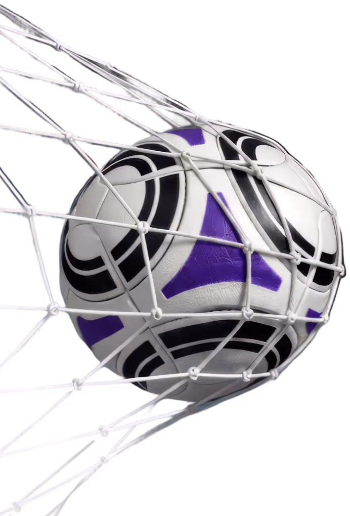 White soccer ball with black and purple patterns entangled in a white net.