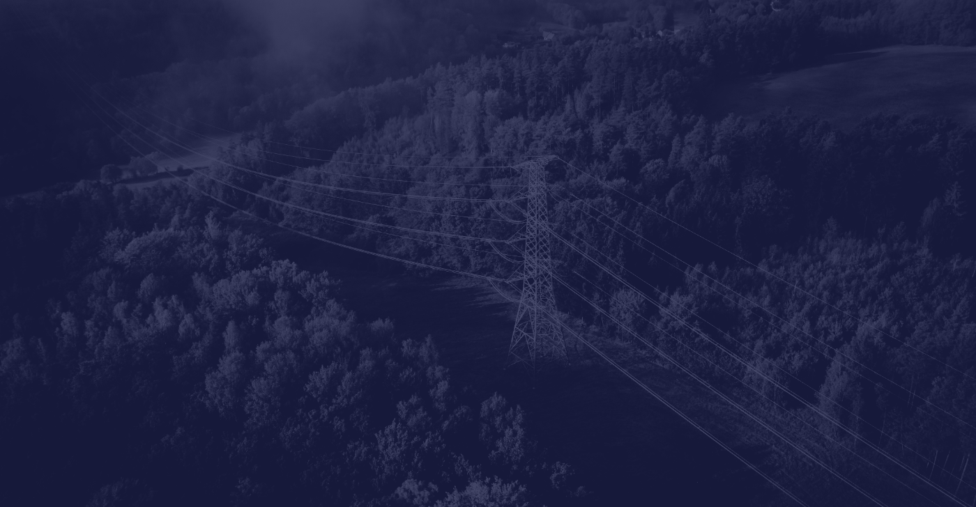 Transmission Line Inspection for Failure Prevention and Grid Reliability