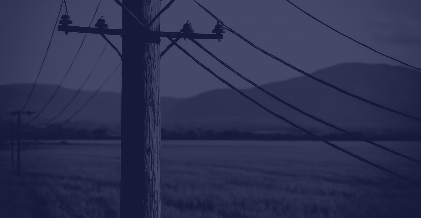 Drone Utility Inspection Uncovers High-Risk Decay of 96 Aging Wooden Structures