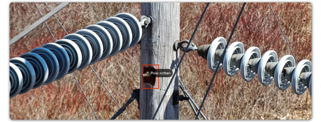 Close-up of wooden transmission pole with visible rot near insulator attachment point, detected by AI-assisted inspection.