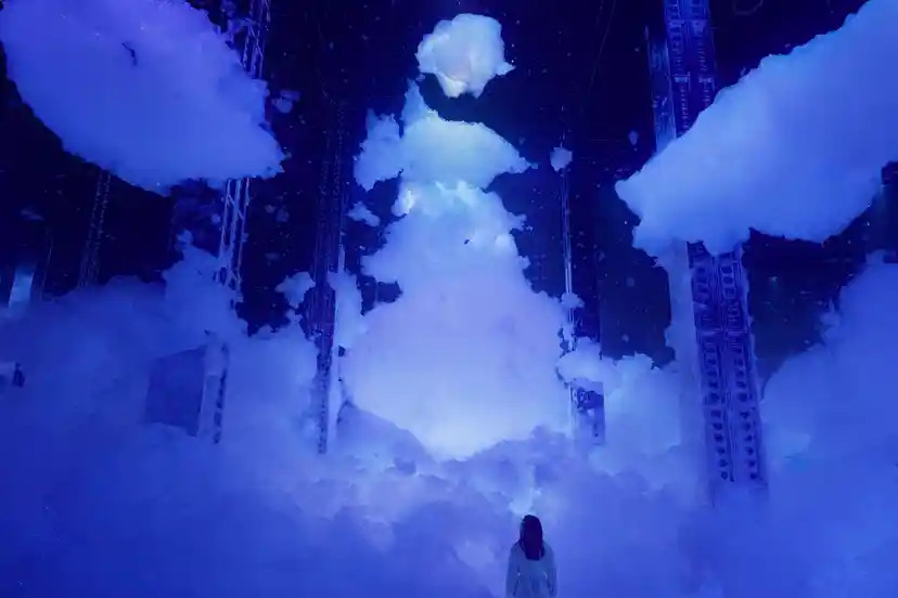 High-resolution interactive digital display featuring abstract, vibrant landscapes. The system processes real-time data to react to visitor interaction, showcasing responsive playback architecture.