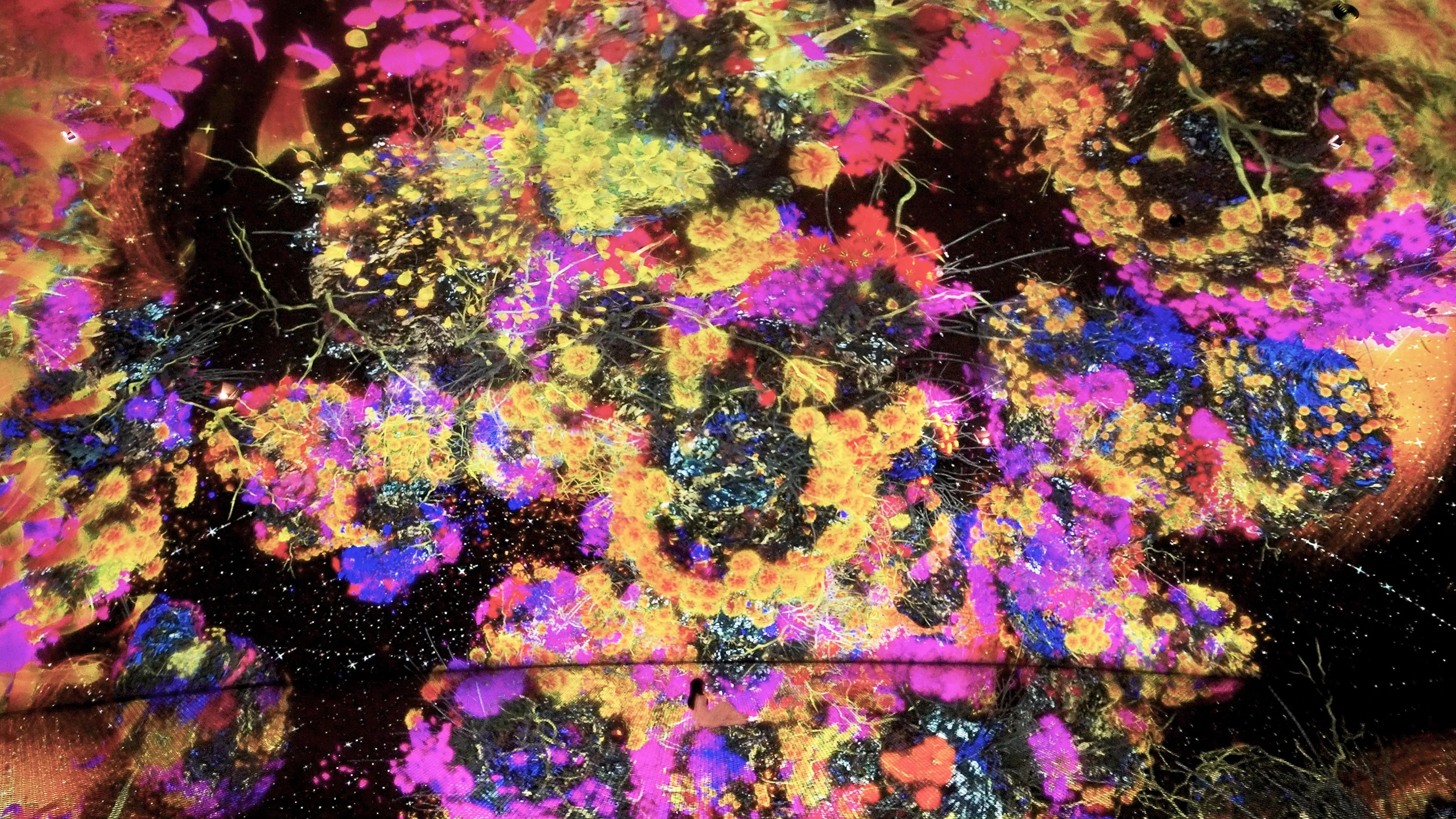 Expansive botanical projections covering floors and walls in a darkened space. High-density visual data creates a detailed, glowing environment of shifting floral patterns.
