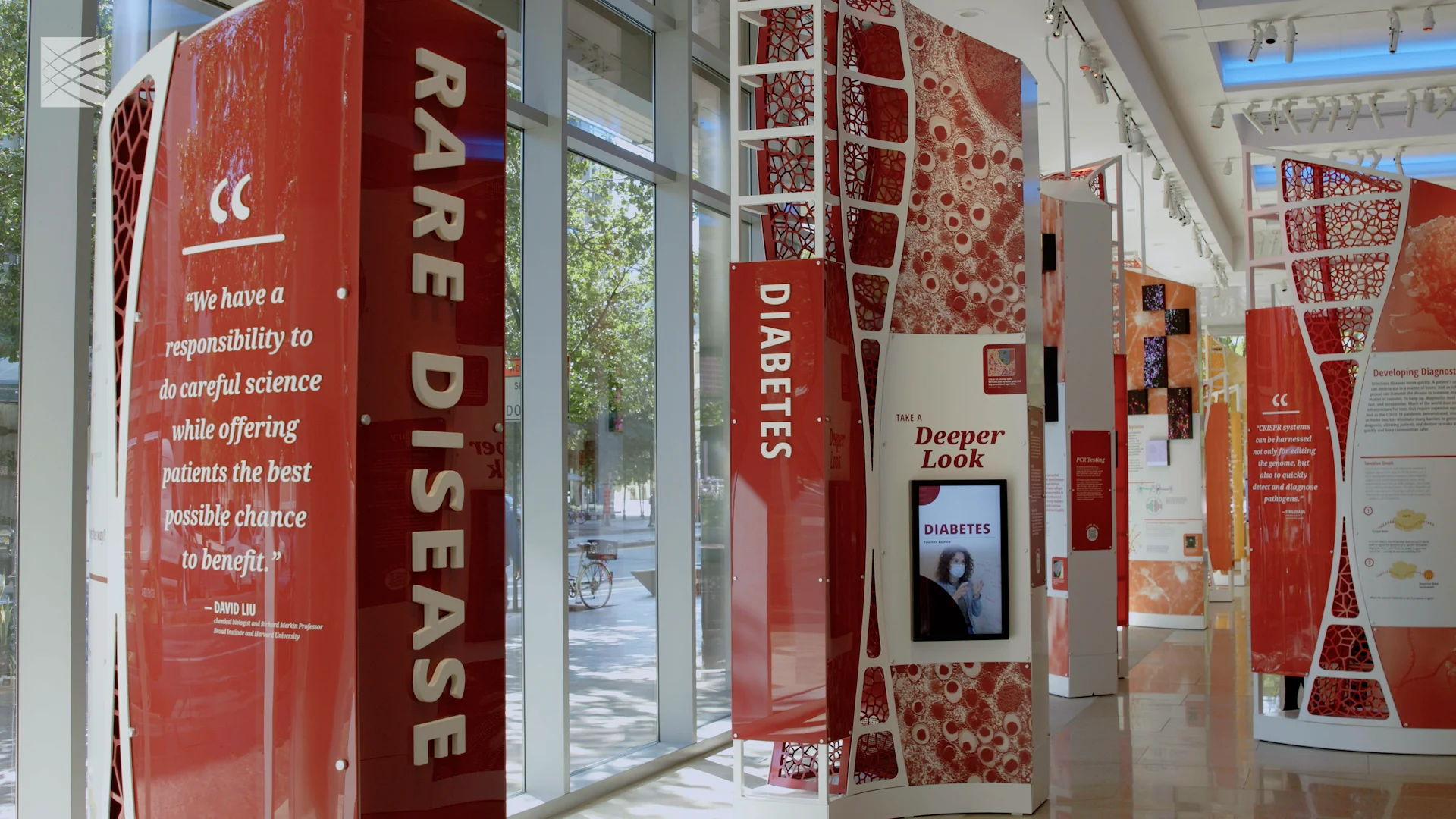 A detailed view of a large-scale digital screen displaying high-resolution biological visualisations, illustrating the technical precision of the show control architecture.