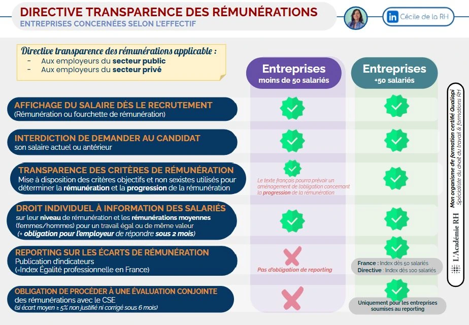 Infographie sur la directive transparence des rémunérations applicables aux employeurs du secteur public et du secteur privé : détails des obligations selon l'effectif - plus ou moins de 50 salariés