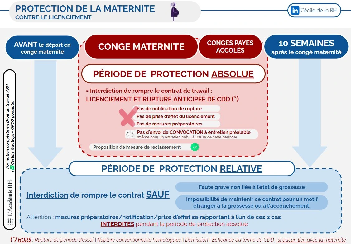 infographie sur la protection relative et absolue de la maternité : avant le départ en congé, pendant le congé et au retour de congés