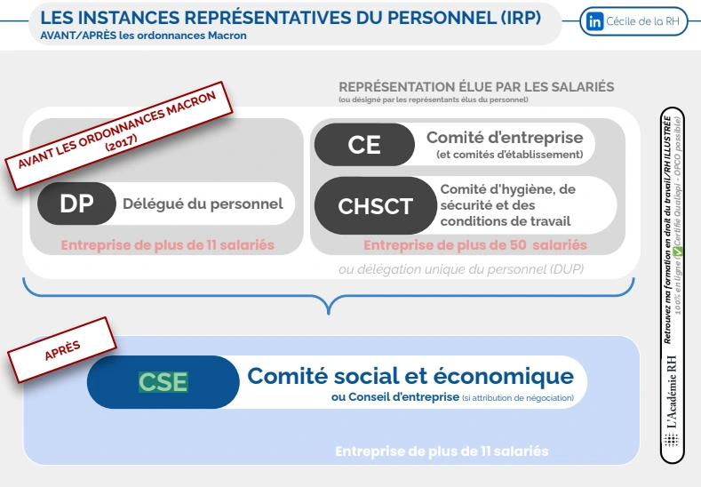 infographie sur la mise en place du CSE dans les entreprises de plus de 11 salariés depuis les ordonnances Macron de 2017