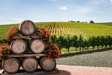 Sogrape Quinta dos Carvalhais