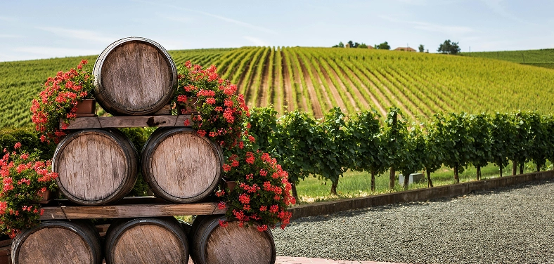 Creating belonging beyond a bottle of wine.