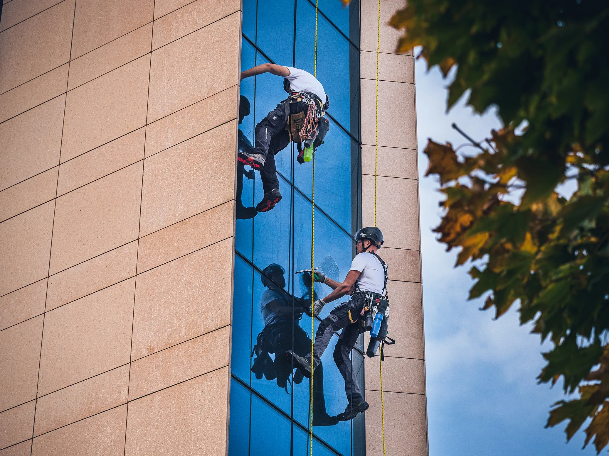 Deux cordistes de KOGITECH qui descendent en rappel la façade vitrée d'un bâtiment.