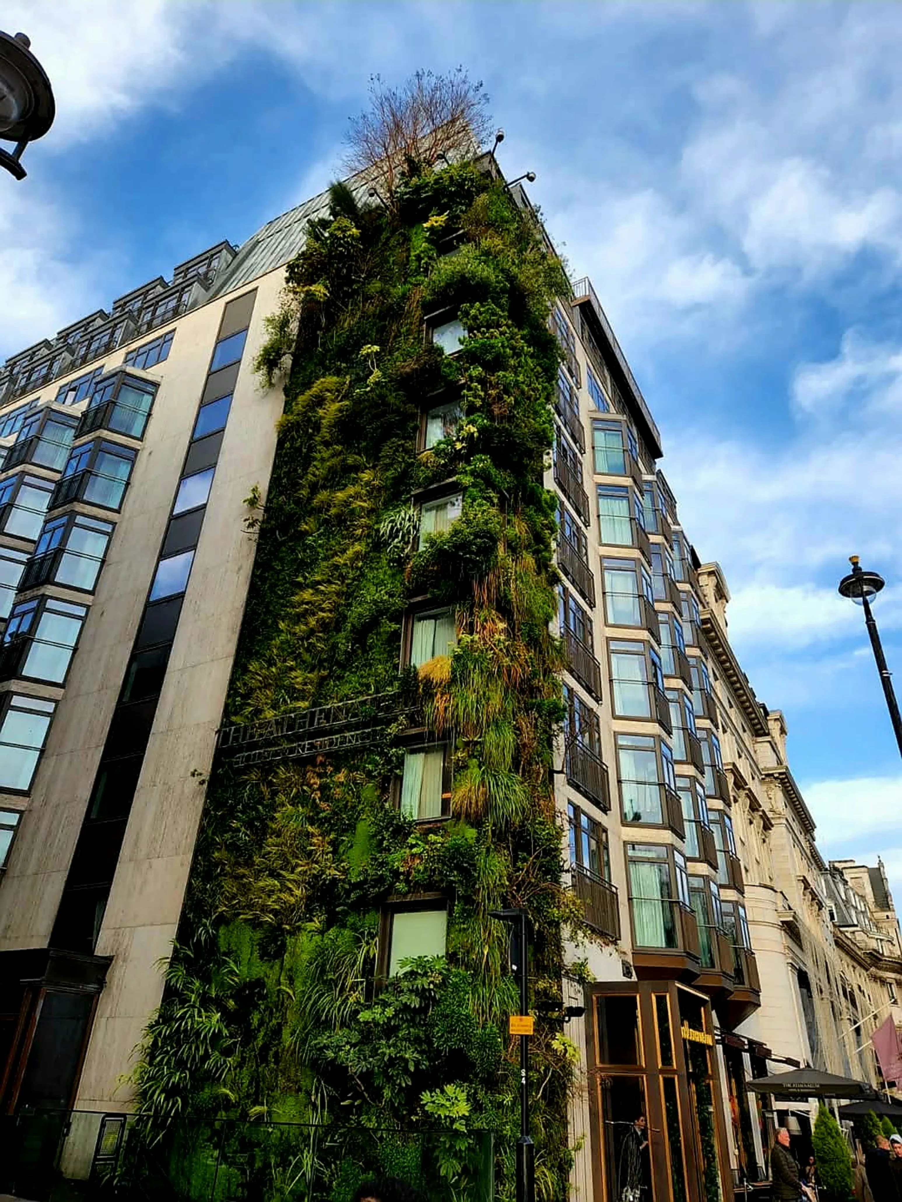 Installation de green câble pour une végétalisation durable de votre batiment