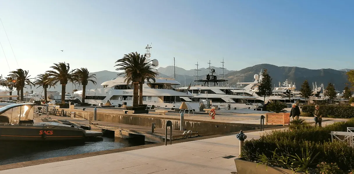 Marina with several large white yachts docked, palm trees lining the pier, and two people walking near landscaped greenery under a clear sky with mountains in the background.