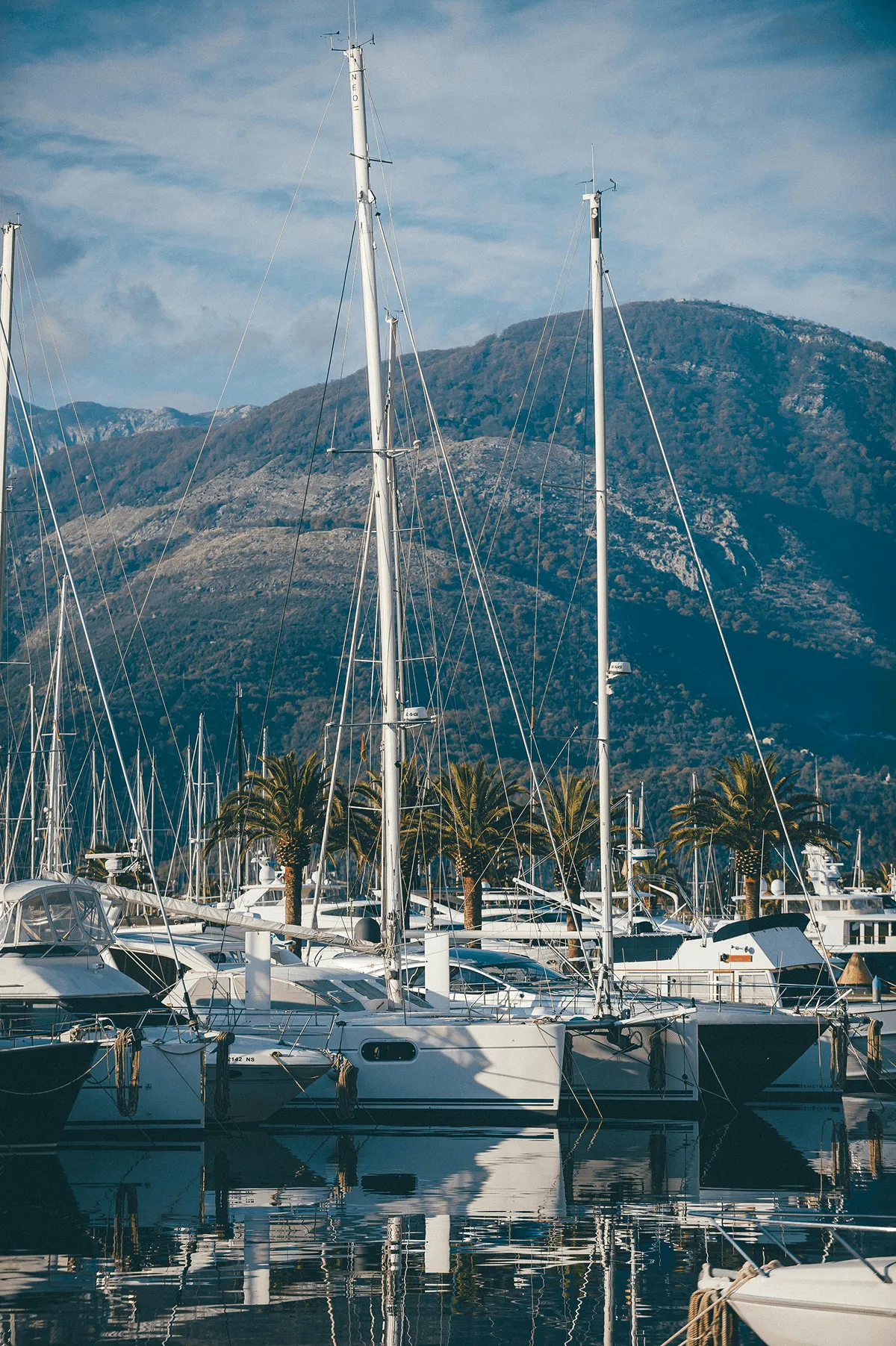 Sailboats docked in a marina with palm trees and mountains in the background under a cloudy sky.
