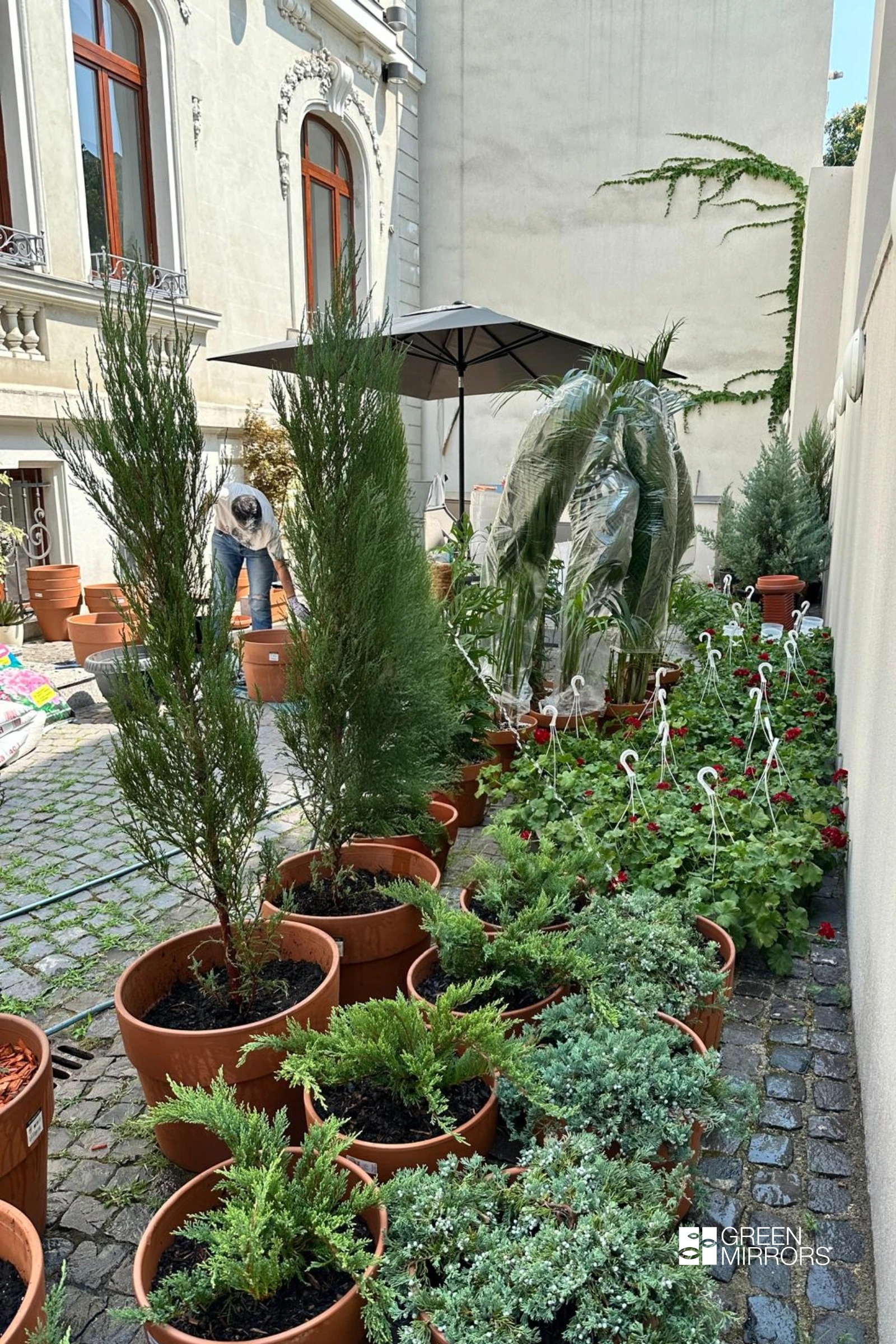 Gradina exterioara by Green Mirrors pentru Amiq